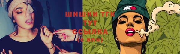 гашик Россошь