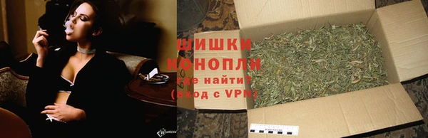 ешки Бронницы