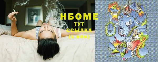 МДПВ Бородино