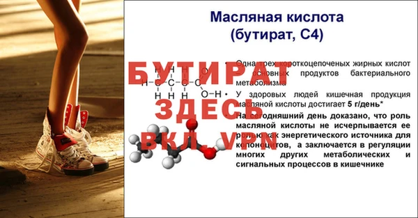 МДПВ Бородино