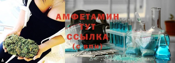 МДПВ Бородино