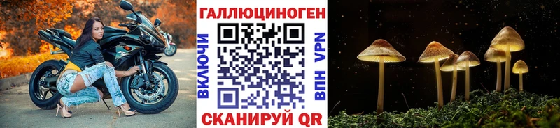 Псилоцибиновые грибы мицелий  маркетплейс официальный сайт  Среднеуральск 